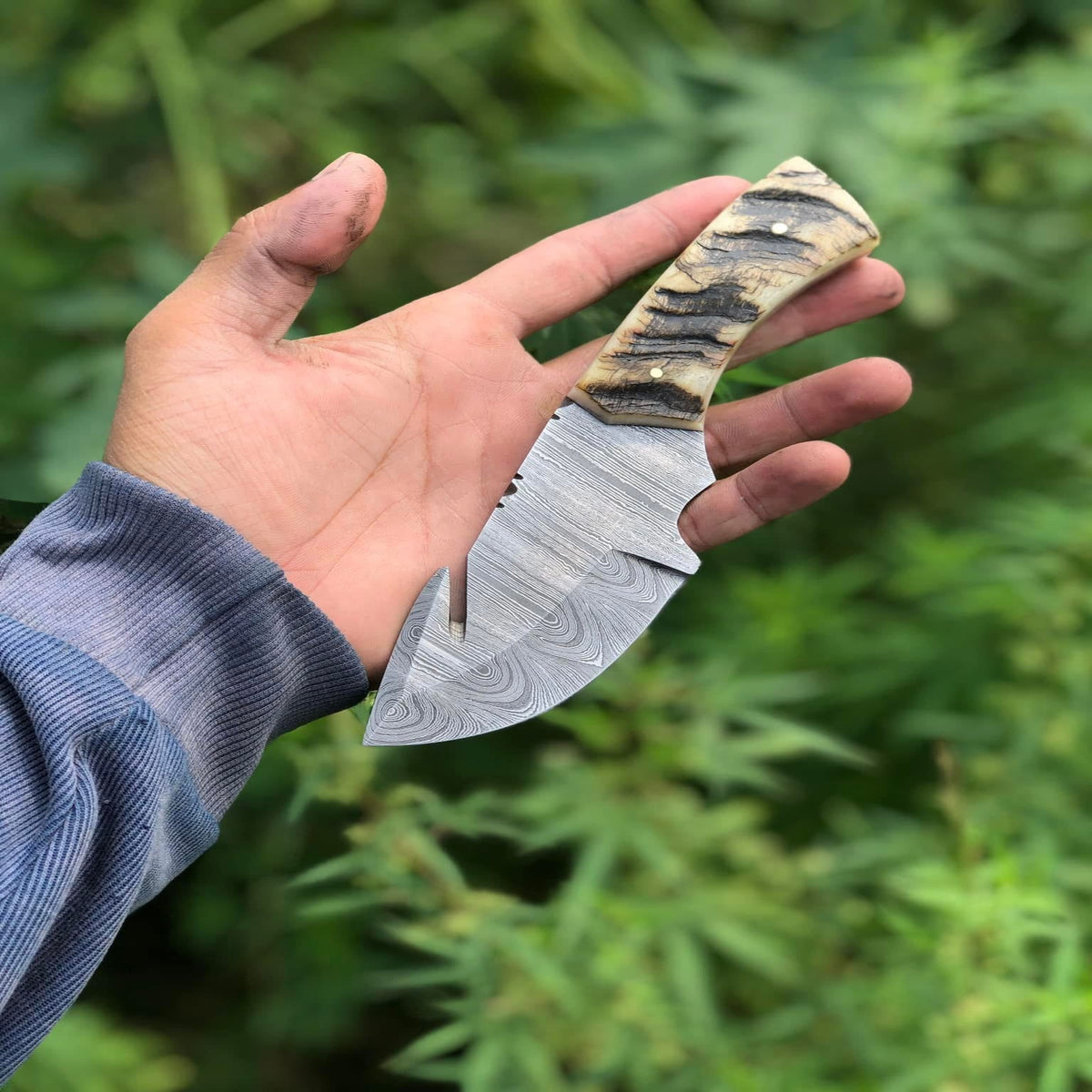 Handmade Damascus Steel Gut Hook Skinning Knife with Sheep Horn Handle