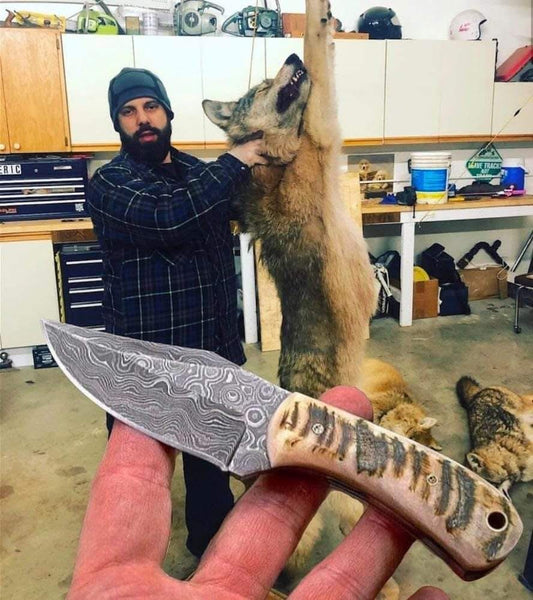 Damascus steel handmade skinning knife sheep horn handle